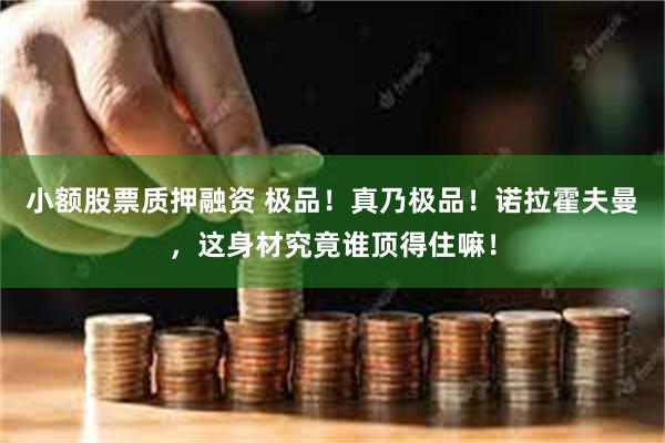 小额股票质押融资 极品!真乃极品!诺拉霍夫曼,这身材究竟谁顶得住嘛!