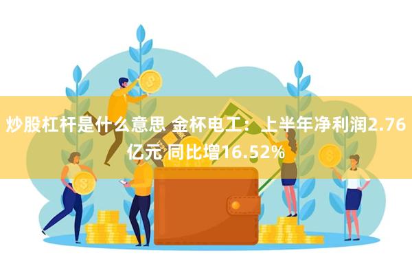 炒股杠杆是什么意思 金杯电工:上半年净利润2.76亿元 同比增16.52%