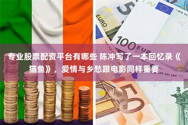 专业股票配资平台有哪些 陈冲写了一本回忆录《猫鱼》,爱情与乡愁跟电影同样重要