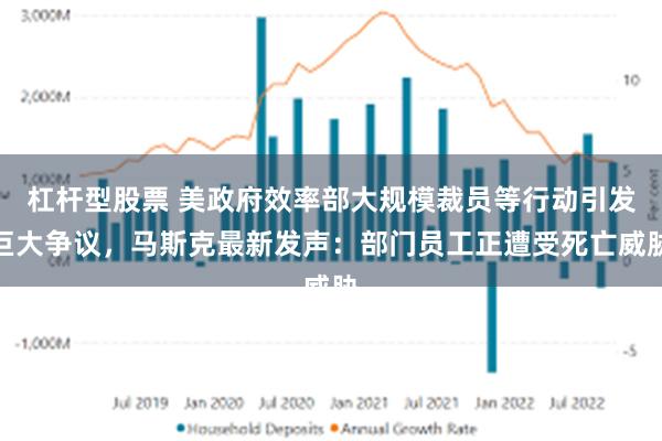 杠杆型股票 美政府效率部大规模裁员等行动引发巨大争议，马斯克最新发声：部门员工正遭受死亡威胁