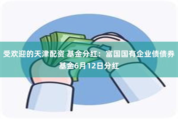 受欢迎的天津配资 基金分红:富国国有企业债债券基金6月12日分红