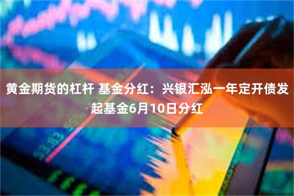 黄金期货的杠杆 基金分红:兴银汇泓一年定开债发起基金6月10日分红