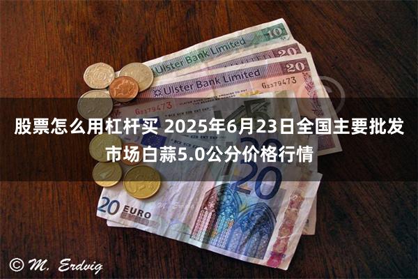 股票怎么用杠杆买 2025年6月23日全国主要批发市场白蒜5.0公分价格行情
