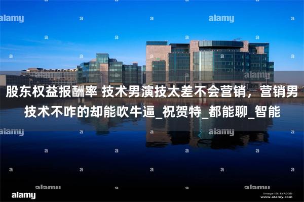 股东权益报酬率 技术男演技太差不会营销,营销男技术不咋的却能吹牛逼_祝贺特_都能聊_智能