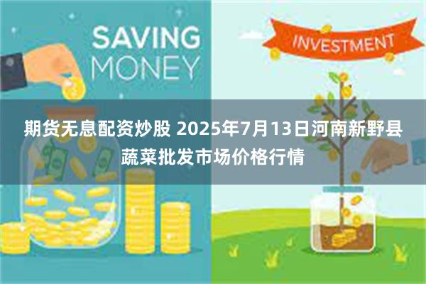 期货无息配资炒股 2025年7月13日河南新野县蔬菜批发市场价格行情