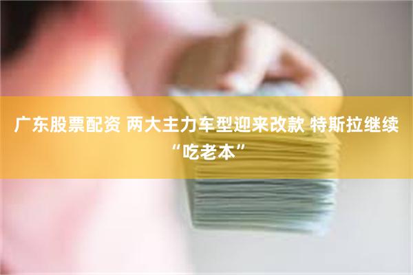 广东股票配资 两大主力车型迎来改款 特斯拉继续“吃老本”