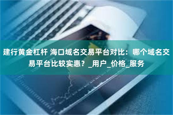 建行黄金杠杆 海口域名交易平台对比:哪个域名交易平台比较实惠?_用户_价格_服务