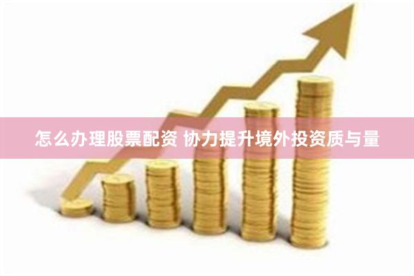 怎么办理股票配资 协力提升境外投资质与量