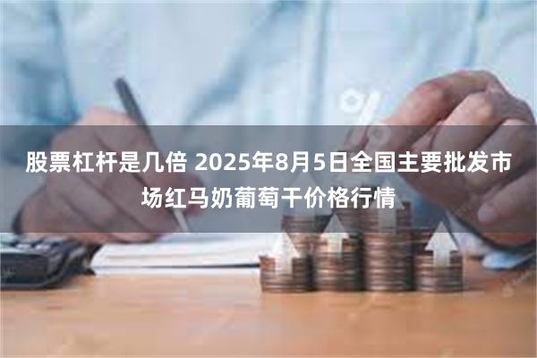 股票杠杆是几倍 2025年8月5日全国主要批发市场红马奶葡萄干价格行情